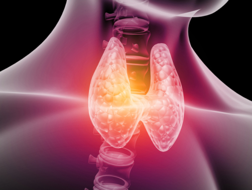 Find Common Thyroid Disorders and Their Symptoms